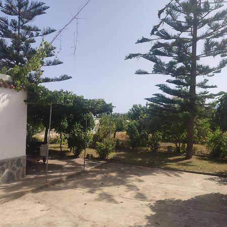 Encantadora Casa Rural Con Gran Porche San Roque  ภายนอก รูปภาพ