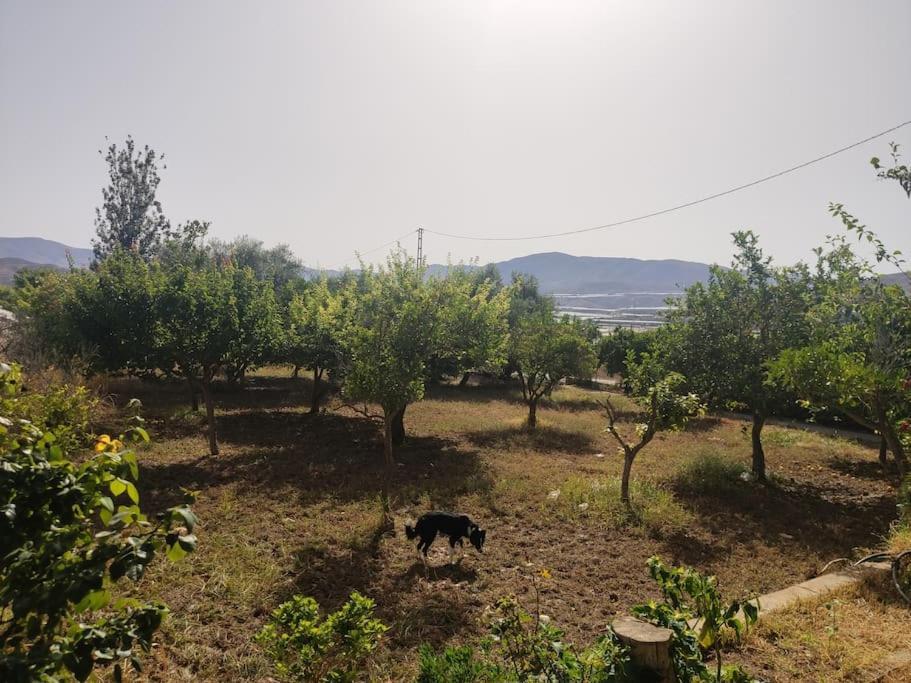 Encantadora Casa Rural Con Gran Porche San Roque  ภายนอก รูปภาพ